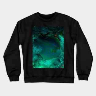 Blue-spotted stingray Crewneck Sweatshirt